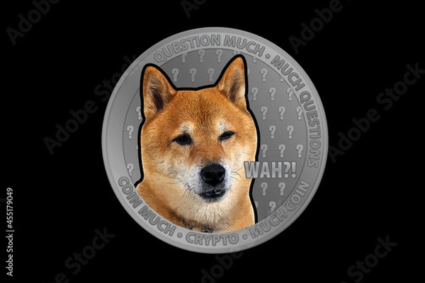 Obraz crypto, doge coin, SHIB coin, crypto currency, confused theme