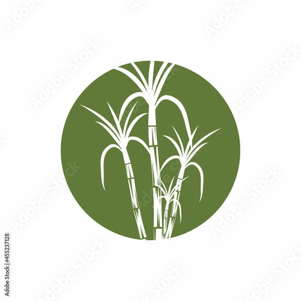 Fototapeta Sugar cane Logo Template vector symbol nature
