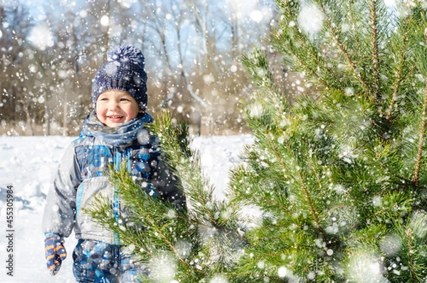Fototapeta little boy