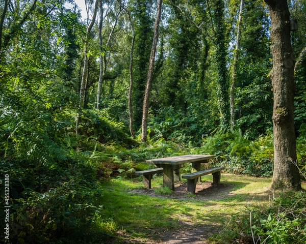 Obraz Picnic spot at Shakerley mere