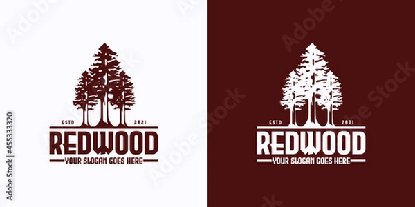 Obraz vintage logo reference,redwood