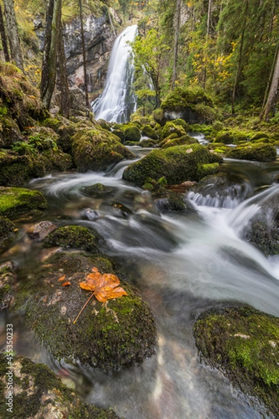 Obraz waterfall in the woods