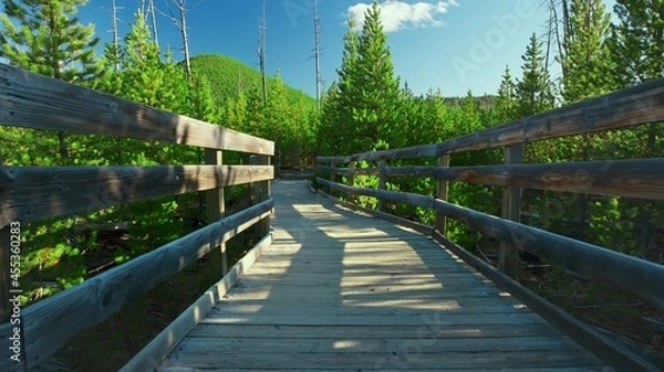 Obraz Wooden Bridge in the Forest
