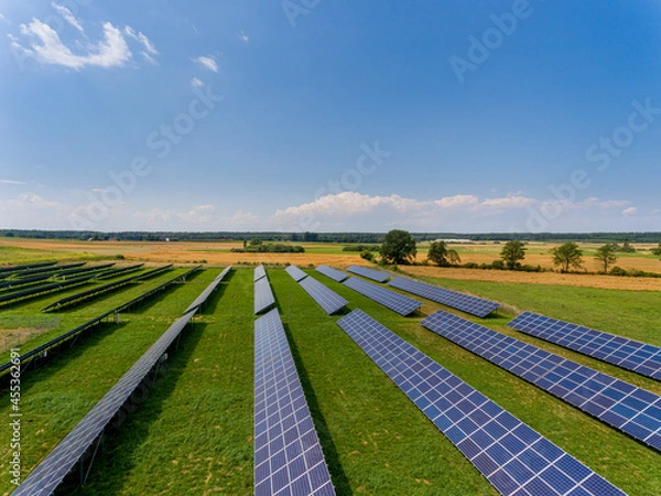 Fototapeta Photovoltaic farm - renewable energy from sunlight - photovoltaic panels set on a green field. Renewable energy supplying medium-sized enterprises