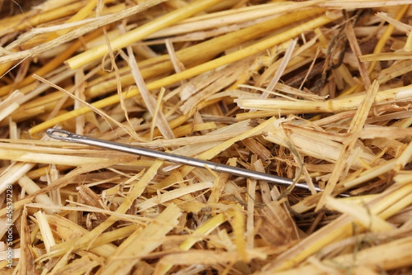 Obraz Needle in a haystack close-up
