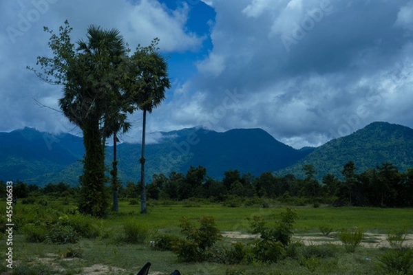 Obraz clouds over the forest