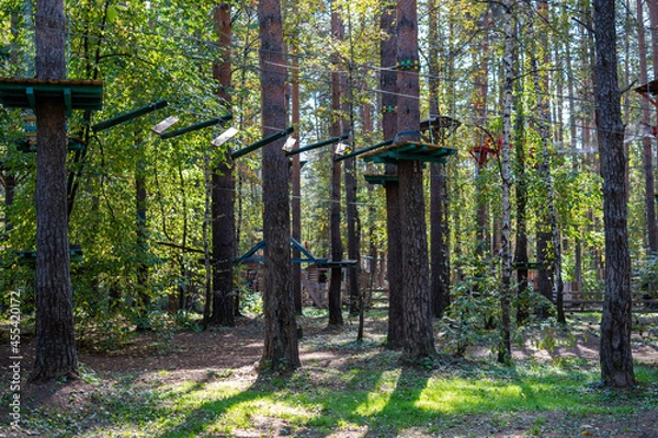 Obraz Children's a rope camp in the forest