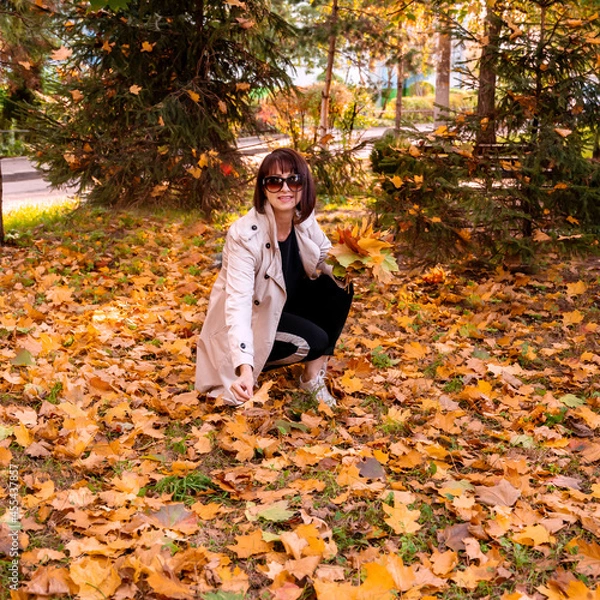 Fototapeta attractive brunette woman holds colorful maple leaves. Lady enjoys autumn nature and relaxes, sitting on  ground and making an autumn bouquet