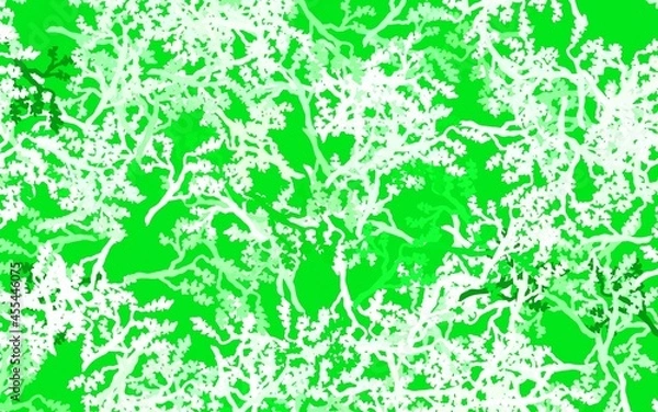 Obraz Light Green vector doodle layout with leaves, branches.