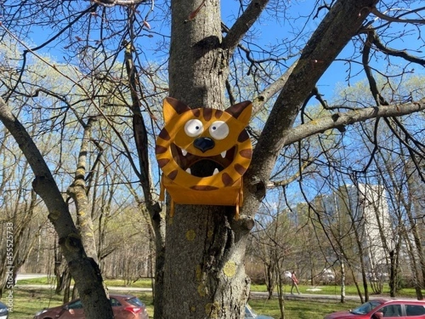 Obraz squirrel in the tree