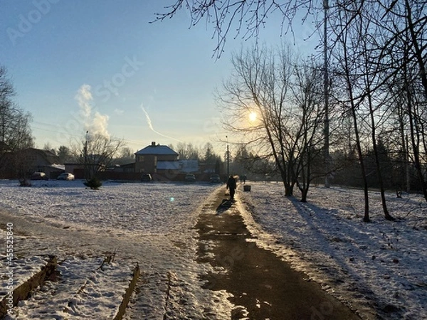 Obraz winter in the park