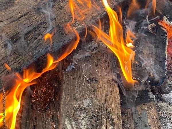 Obraz fire in the fireplace