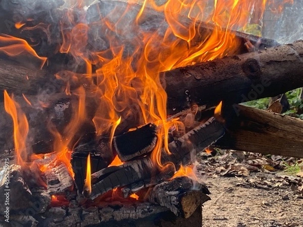 Obraz fire in the fireplace