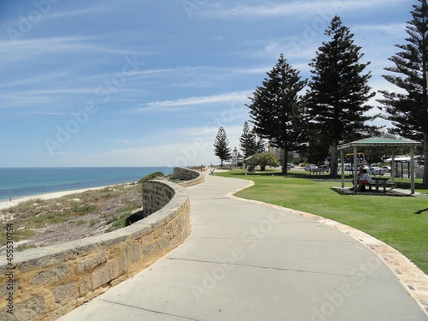 Obraz Curvy sidewalk next to the beach. Blue sky, clouds and pine trees. View of the sea and the grass. Cottesloe, Australia.