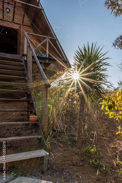 Obraz Sunset behind the trees