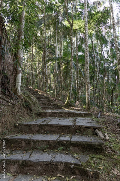 Obraz one step at a time