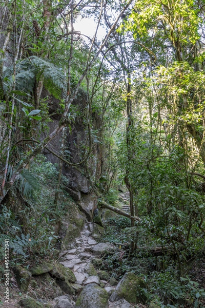 Obraz following trails