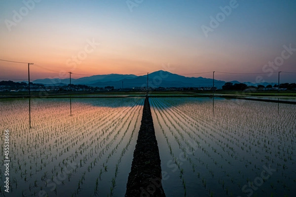 Obraz 日本の田園風景