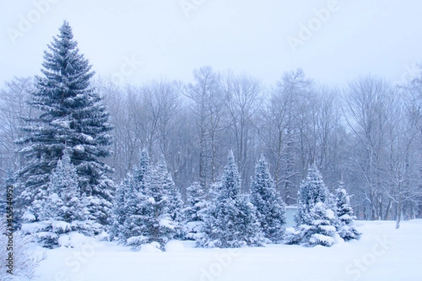 Obraz Russian Winter