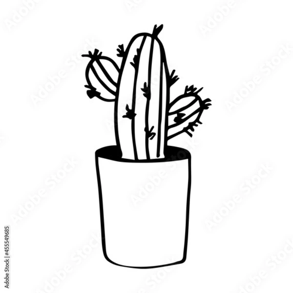 Obraz Houseplant in the pot in doodle style. Hand drawn potted plant for home. Hand drawn simple black outline vector illustration in cartoon doodle style, isolated. Home gardening