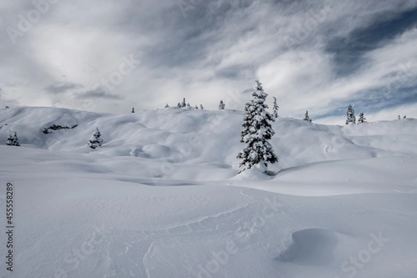 Fototapeta Winterlandschaft