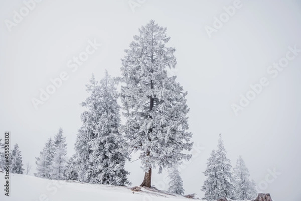 Obraz Winterstimmung