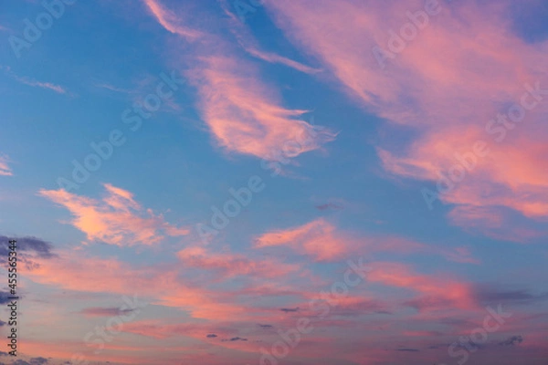 Fototapeta Real majestic sunrise sundown sky background with gentle colorful clouds without birds. Panoramic
