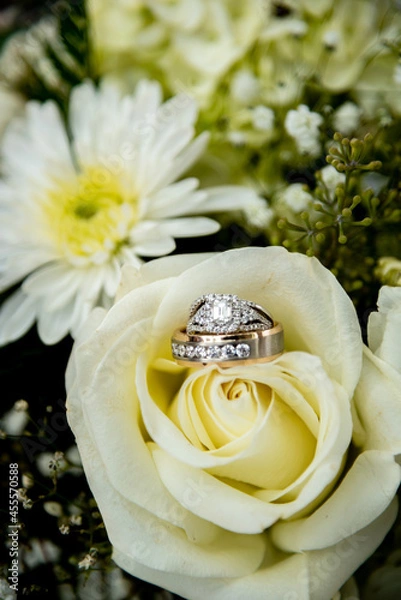 Obraz wedding rings on a rose