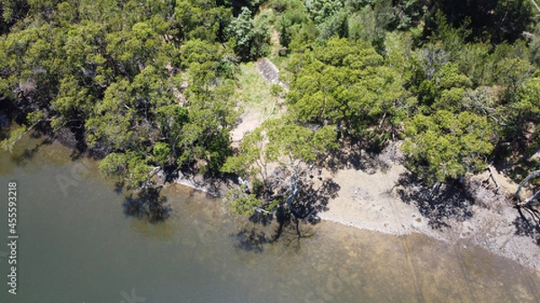 Obraz river in the forest