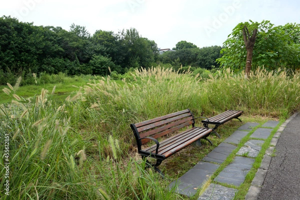 Obraz bench in the park