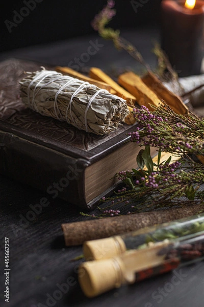 Fototapeta spellbook and medicinal herbs background 