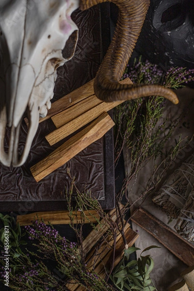 Fototapeta witch's altar with herbs and a skull. dark magic
