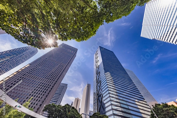 Fototapeta 爽やかな朝の光に照らされた東京のビル群