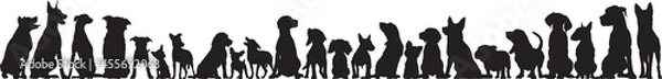 Obraz Front view of dogs group standing or sitting of different breeds vector silhouette collection