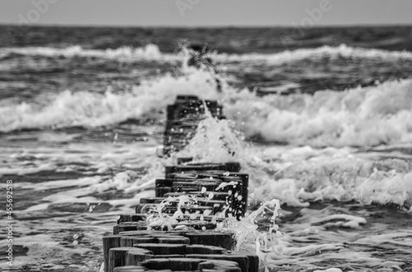 Obraz groynes on the beach of the Baltic Sea in Zingst. Waves break on the wood