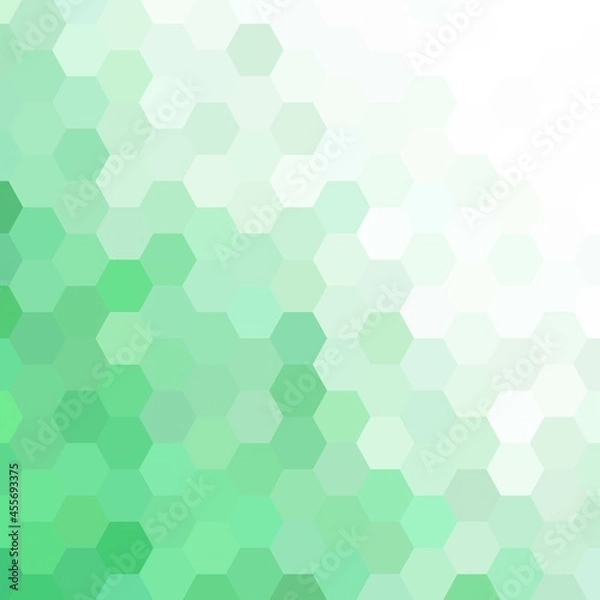 Obraz green and white geometric hexagon background. layout for advertising. template for presentation. eps 10