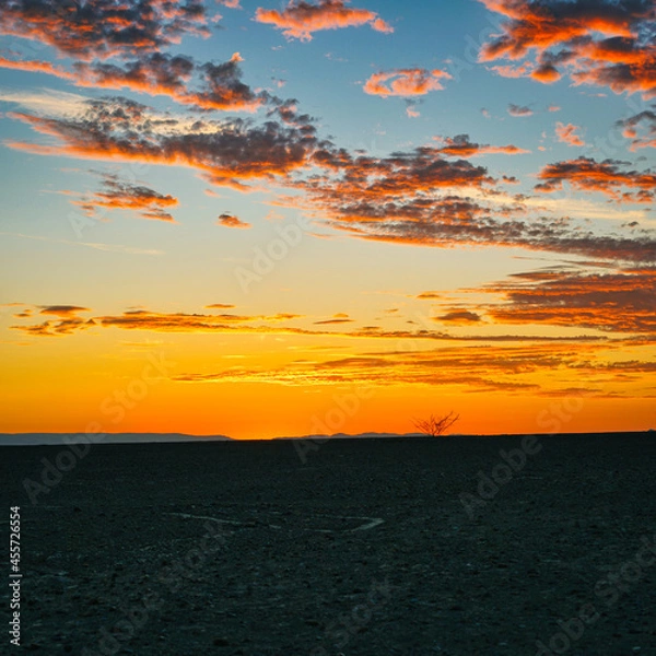 Obraz sunset on the beach