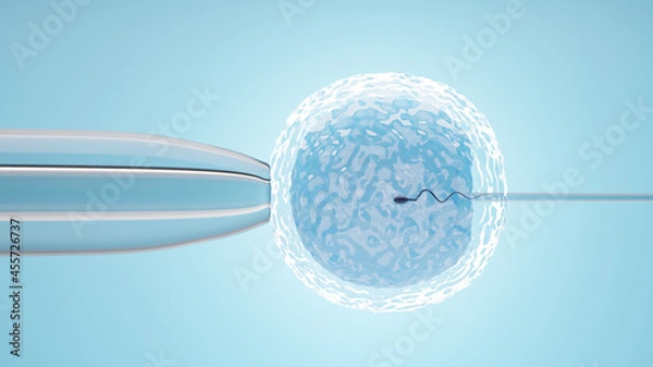 Fototapeta Ovum with needle for artificial insemination or in vitro fertilization. 3D Illustration Rendering.