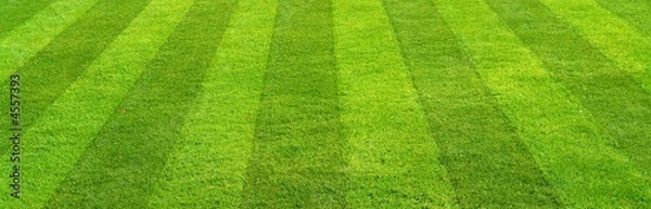 Fototapeta Banner ogrodniczy