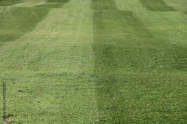 Obraz Rolling golf course lawn