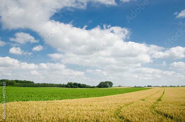 Obraz Agriculture - Gembloux - Belgium