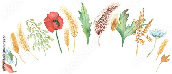 Obraz Watercolor hand painted nature set composition with red poppy, white chamomile, yellow rye ear, brown cereals, green leaves and branches collection isolated on the white background for design elements