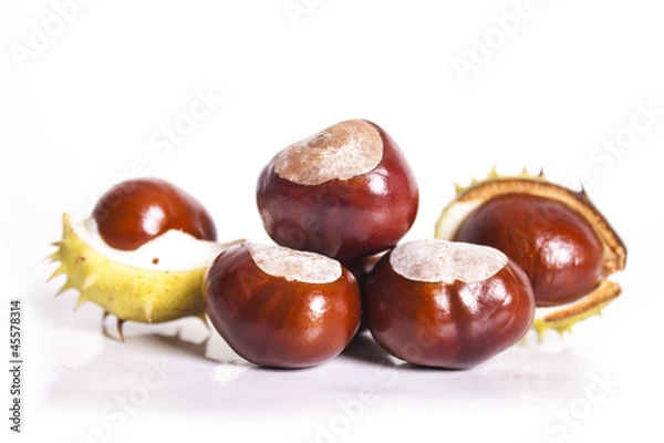 Obraz chestnuts