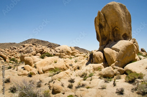 Obraz Joshua Tree National Park