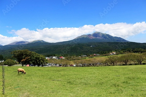 Obraz 高千穂牧場