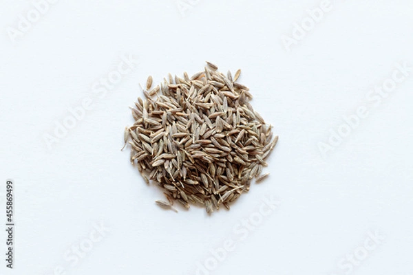 Obraz クミンシード