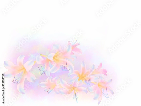 Fototapeta ピンクリコリスのフレーム（白背景）