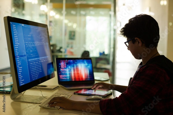 Fototapeta Student boy using computer at desk