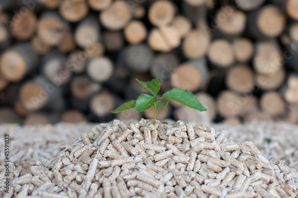 Obraz Save the nature