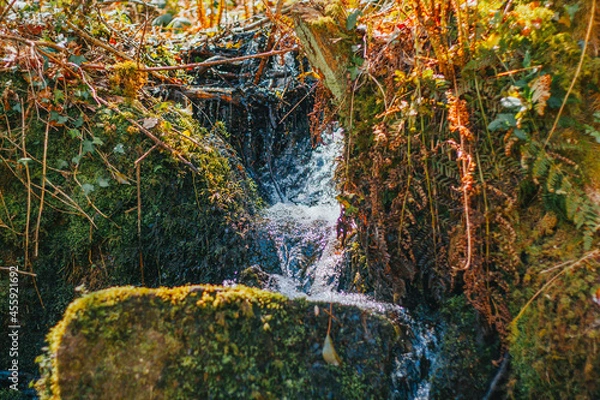 Obraz waterfall in the UK forest
